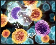 A intoxicação crônica  A causa de várias doenças (vídeo) 