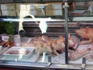 Corpos de leitões no açougue. 