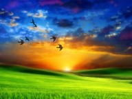 O REINO DE DEUS É O MAIOR TESOURO – Jesus a Maria Valtorta